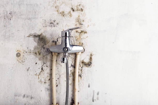 Best Localized Mold Remediation (e.g., coastal areas, humid climates) in Hilmar Irwin, CA