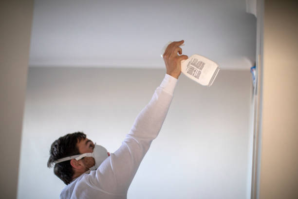 Best Kitchen Mold Remediation in Hilmar Irwin, CA