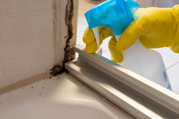 Best Bathroom Mold Remediation in Hilmar Irwin, CA
